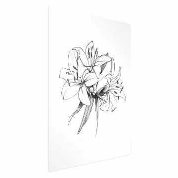 Plakat Rysowane kwiaty 21x30 cm bez ramy bez marginesu