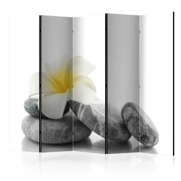 Parawan jednostronny Orient 225x172 cm 5-częściowy beżowy