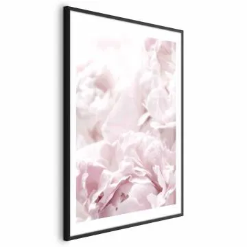 Plakat Puszyste peonie 60x90 cm z ramą czarną z marginesem