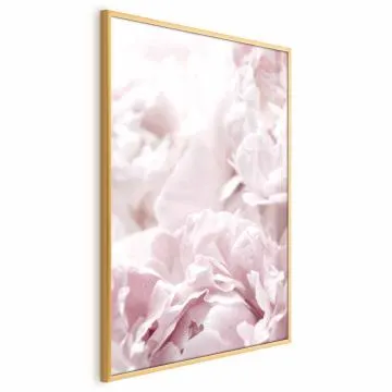 Plakat Puszyste peonie 60x90 cm z ramą złotą bez marginesu
