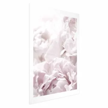 Plakat Puszyste peonie 60x90 cm bez ramy z marginesem