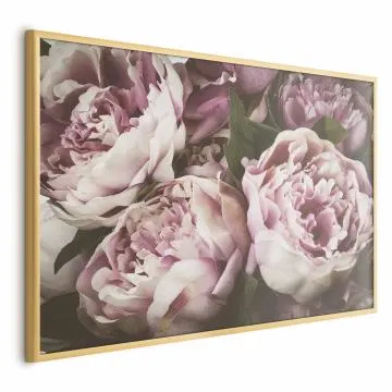 Plakat Różowe piwonie 30x21 cm z ramą złotą bez marginesu