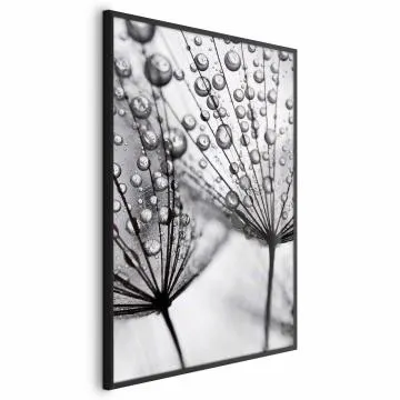 Plakat Rosa 29,7x42 cm z ramą czarną bez marginesu