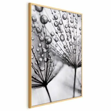 Plakat Rosa 29,7x42 cm z ramą złotą bez marginesu