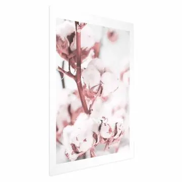 Plakat Bawełna 40x60 cm bez ramy z marginesem