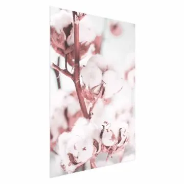 Plakat Bawełna 40x60 cm bez ramy bez marginesu