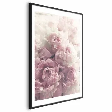 Plakat Delikatne piwonie 40x60 cm z ramą czarną z marginesem