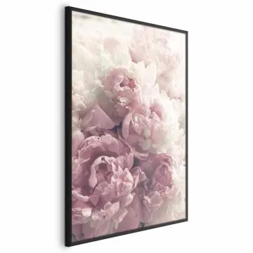 Plakat Delikatne piwonie 29,7x42 cm z ramą czarną bez marginesu