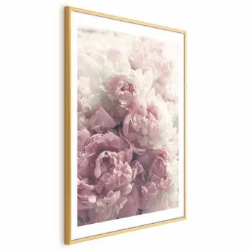 Plakat Delikatne piwonie 21x30 cm z ramą złotą z marginesem