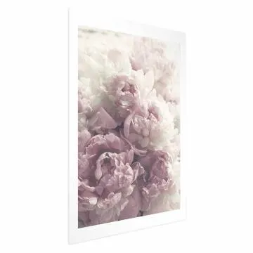Plakat Delikatne piwonie 40x60 cm bez ramy z marginesem