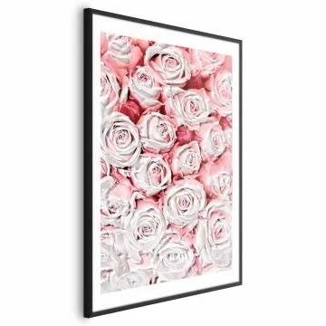 Plakat Białe róże 60x90 cm z ramą czarną z marginesem