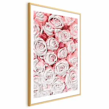 Plakat Białe róże 60x90 cm z ramą złotą z marginesem