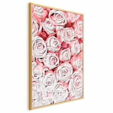 Plakat Białe róże 60x90 cm z ramą złotą bez marginesu