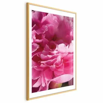 Plakat Piękne piwonie 60x90 cm z ramą złotą z marginesem