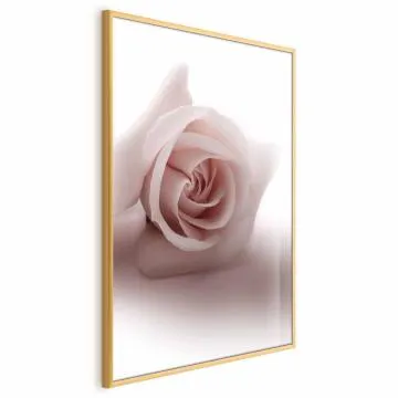 Plakat Różany cień 60x90 cm z ramą złotą bez marginesu