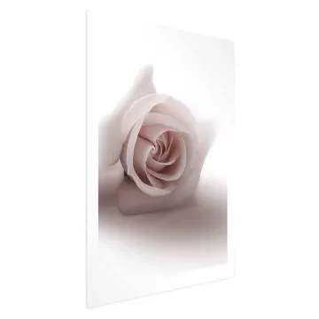 Plakat Różany cień 29,7x42 cm bez ramy z marginesem