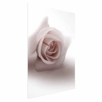 Plakat Różany cień 60x90 cm bez ramy bez marginesu