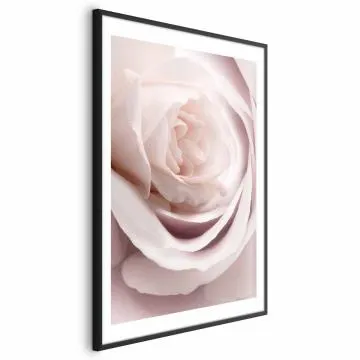Plakat Porcelanowa róża 60x90 cm z ramą czarną z marginesem