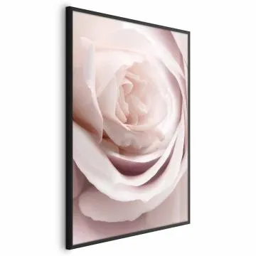 Plakat Porcelanowa róża 60x90 cm z ramą czarną bez marginesu