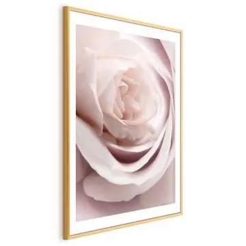 Plakat Porcelanowa róża 60x90 cm z ramą złotą z marginesem