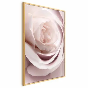 Plakat Porcelanowa róża 60x90 cm z ramą złotą bez marginesu
