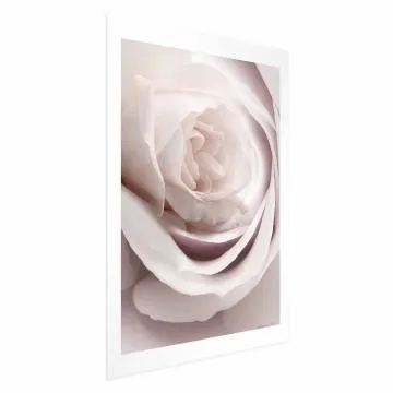 Plakat Porcelanowa róża 60x90 cm bez ramy z marginesem