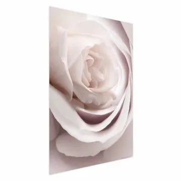Plakat Porcelanowa róża 60x90 cm bez ramy bez marginesu