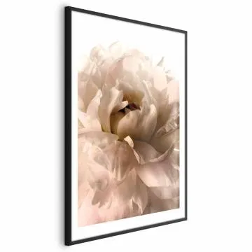Plakat Miękkie płatki 29,7x42 cm z ramą czarną z marginesem