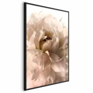 Plakat Miękkie płatki 40x60 cm z ramą czarną bez marginesu