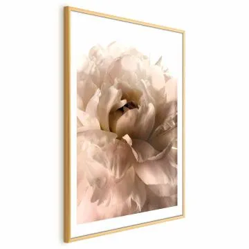 Plakat Miękkie płatki 40x60 cm z ramą złotą z marginesem