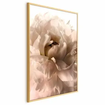 Plakat Miękkie płatki 40x60 cm z ramą złotą bez marginesu