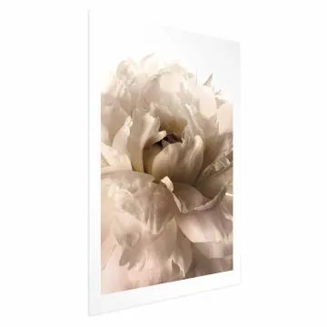 Plakat Miękkie płatki 40x60 cm bez ramy z marginesem