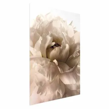 Plakat Miękkie płatki 40x60 cm bez ramy bez marginesu