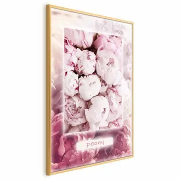 Plakat Delikatność wiosny 40x60 cm z ramą złotą bez marginesu