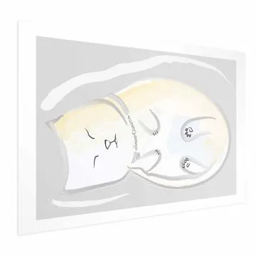 Plakat Śpiący kotek 30x21 cm bez ramy z marginesem