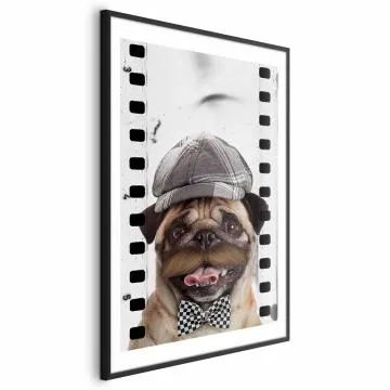 Plakat Mops w czapce 60x90 cm z ramą czarną z marginesem