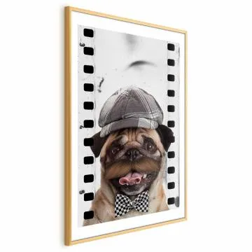 Plakat Mops w czapce 21x30 cm z ramą złotą z marginesem
