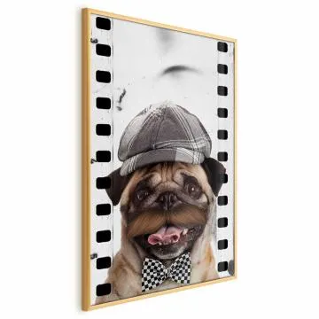 Plakat Mops w czapce 60x90 cm z ramą złotą bez marginesu