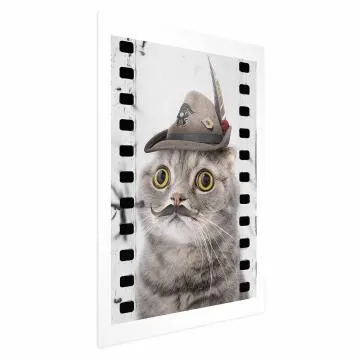 Plakat Kot w kapeluszu 40x60 cm bez ramy z marginesem