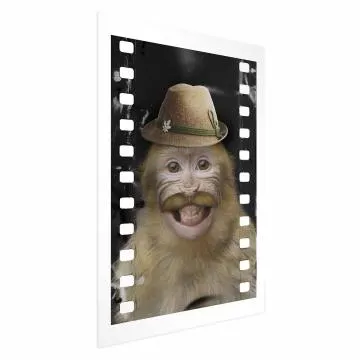 Plakat Małpa w kapeluszu 40x60 cm bez ramy z marginesem