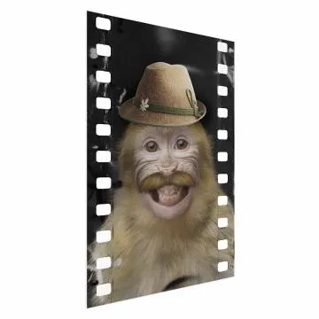 Plakat Małpa w kapeluszu 40x60 cm bez ramy bez marginesu