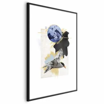 Plakat Rybitwa antarktyczna 60x90 cm z ramą czarną z marginesem
