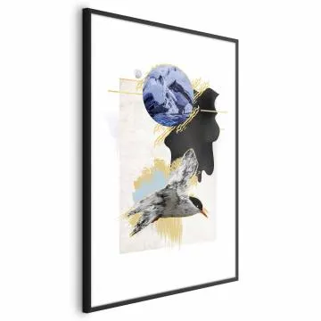 Plakat Rybitwa antarktyczna 40x60 cm z ramą czarną bez marginesu