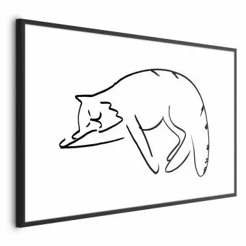 Plakat Kocie sny 90x60 cm z ramą czarną z marginesem