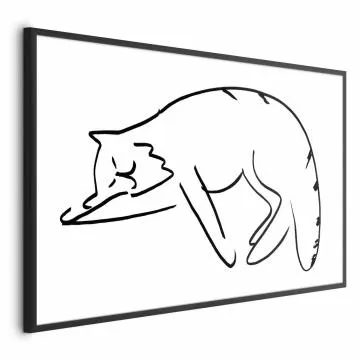 Plakat Kocie sny 30x21 cm z ramą czarną bez marginesu
