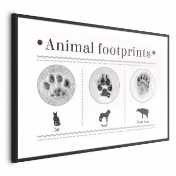 Plakat Ślady łapek 60x40 cm z ramą czarną z marginesem