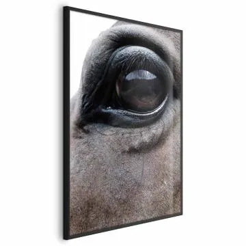 Plakat Szczere oczy 40x60 cm z ramą czarną bez marginesu