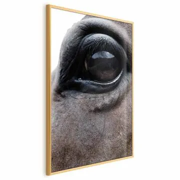 Plakat Szczere oczy 40x60 cm z ramą złotą bez marginesu