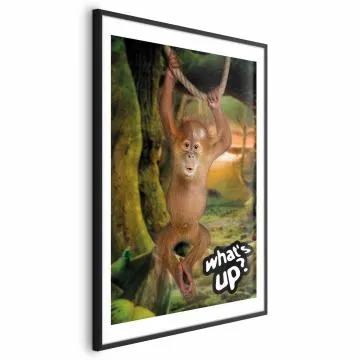 Plakat What's Up 40x60 cm z ramą czarną z marginesem