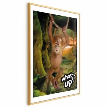 Plakat What's Up 40x60 cm z ramą złotą z marginesem